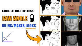 How Your Jaw Angle Determines Your Attractiveness  blackpill [upl. by Buckingham]