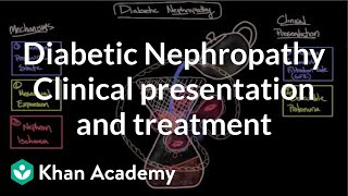 Diabetic nephropathy  Clinical presentation amp treatment  NCLEXRN  Khan Academy [upl. by Kaufman]