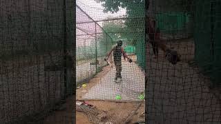 Batting net practice ❤️💯viratkholi cricketvideos gymhitviralvideo [upl. by Bunow]