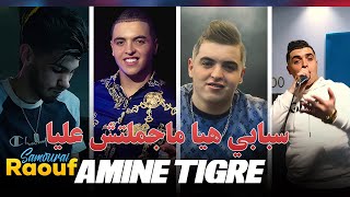 Cheb Amine Tigre 2024  Sbabi Hiya Ma Jamlatche 3liya © Avec Raouf Samouray Exclus 2024  HD Audio [upl. by Aman]