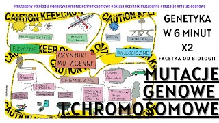 Mutacje  Mutacje Genetyczne  Czynniki Mutagenne  Choroby Spowodowane Przez Mutacje [upl. by Gnni890]