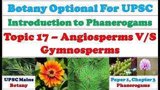 Angiosperms amp Gymnosperms –Difference Similarities Comparison Resemblance Affinities UPSC Mains [upl. by Enomyar]