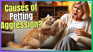 🐱 WHAT CAUSES PETTING AGGRESSION IN CATS 🐱 [upl. by Hasile]