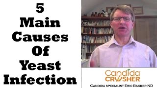 Main Causes Of Yeast Infections  Ask Eric Bakker [upl. by Yerdua876]