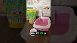 ¡CONCURSO ANIMAL Participa por un súper kit de productos TopK9 en el Día Mundial del Gato [upl. by Nodyl]