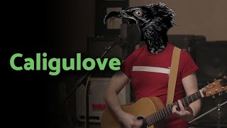 Caligulove  Acoustic Them Crooked Vultures Cover [upl. by Hgielek]