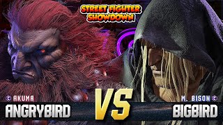 SF6 Bigbird Bison VS Angrybird Akuma FT3  High level gameplay [upl. by Isdnyl]