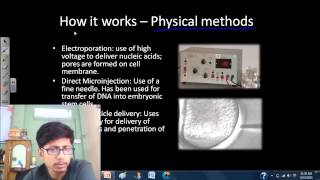 Transfection of mammalian cells [upl. by Glass33]