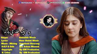 New Pashto Song Singer Abdullah Wazir Pashto sad song new پشتو شائستہ سندرہ سینگر عبداللہ وزیر [upl. by Herrick]