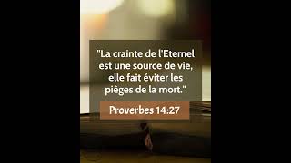 Verset Biblique Du Jour  Proverbes 1427  Le respect du Seigneur est une source de vie [upl. by Nylitak935]