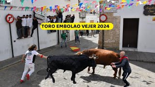 Toro Embolao 2024 Vejer de la Frontera [upl. by Aiyn]