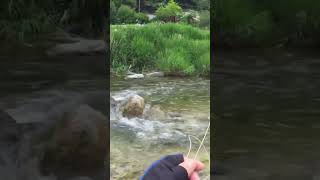 S327KFT千夜釣行 鬼怒川水系男鹿川FF渓散歩 fishing FlyFishing フライフィッシング flytying フライタイイング [upl. by Annaerb]