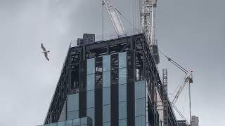 1 Leadenhall Street London England UK June 22 2024 [upl. by Leiahtan]