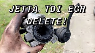 JETTA TDI EGR DELETE [upl. by Zurc868]