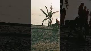 chhath Puja celebrated in Bihar🎉 [upl. by Inohs303]