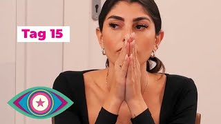 Tag 15 in 8 Minuten Ein emotionales Finale  Promi Big Brother 2023  SAT1 [upl. by Assiruam]