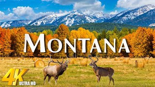 Montana 4K UHD Fall Beauty – Cinematic Views of Autumn in Montana  Amazing Nature [upl. by Ursala979]