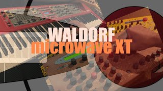 Waldorf microwave XT  The Tangerine Synth [upl. by Jedediah]