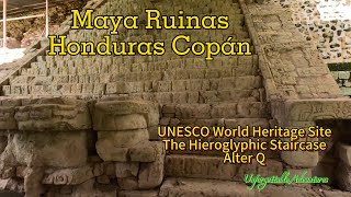 Copan Ruinas  Mayan Ruins in Honduras Silent ASMR Hiking 宏都拉斯 科潘的馬雅古蹟 [upl. by Enale]