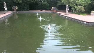 Video of Hopeland Gardens Aiken SC [upl. by Desberg]