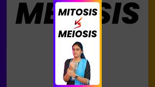 11th Biology Mitosis Vs Meiosis Important Question Public 2024 [upl. by Anitsirc]