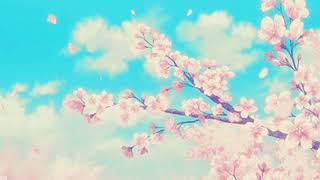 Cherry Blossoms 🌸 [upl. by Miltie]