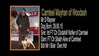 Canteel Mayhan of Woodash handled by Dave Rayner [upl. by Shanahan920]