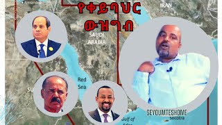 የቀይባህር ውዝግብ speak by new Seyoum Teshome [upl. by Dahc908]