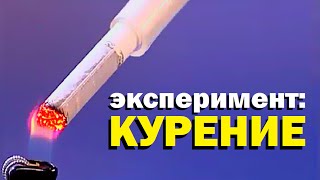 Галилео Эксперимент ⚠ Курение 🚭 Smoking experiment [upl. by Trik]