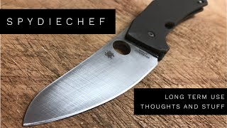 Spyderco Spydiechef Long Term Use Review [upl. by Eidnil]