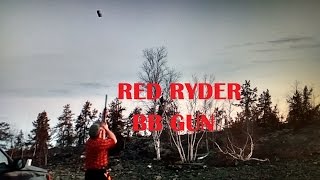 Red Ryder BB Gun and Trick Shooting [upl. by Kursh]