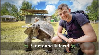 Curieuse Island Seychelles  Island of the Giant Tortoises  4k [upl. by Rhody129]