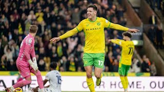 Norwich City vs Luton Town 42 Ante Crnac Borja Sainz amp Emiliano Marcondes score in win [upl. by Owen900]