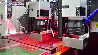 A Fully Automated System of PCBs Laser Depaneling Sorting and Stacking [upl. by Saduj]