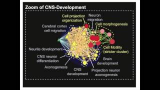 Introduction to Pathway and Network Analysis of Gene Lists [upl. by Annohsak]