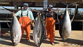 500 LBS in 30 MINUTES  EPIC Tuna Catch Clean amp Cook [upl. by Airat]