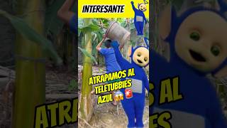 Atrapamos al teletubbies azul😱🚨interesante asombroso 😱😰 [upl. by Louise]