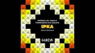 Paprika vs Vasiliy Francesco amp DJ Galkin  Ірка Mojo Mashup [upl. by Nosiaj568]