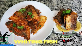 HOW TO COOK WHITING FISH SHORTS FRIED AND BAKED [upl. by Rolanda]