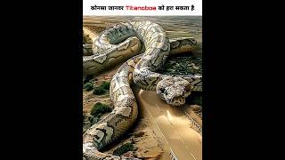 कोनसा जानवर Titanoboa को हरा सकता है animals youtubeshorts [upl. by Sherlocke]