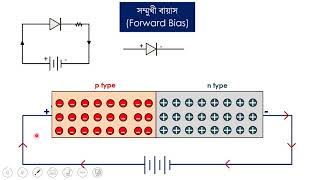 অধ্যায় ১০  সেমিকন্ডাক্টর ও ইলেকট্রনিক্স  ডায়োডের বায়াসিং pn জাংশনের বৈশিষ্ট্য লেখ [upl. by Anilec]