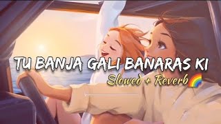 tu banja gali banaras ki slowed reverb  lofi remix songs  slowed reverb songs  lofi songs [upl. by Akinit]