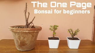 How to make Bonsai  Bonsai for beginners Part 1  The One Page [upl. by Alludba]