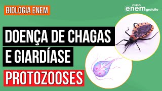 Protozooses Giardíase e Doença de Chagas  Resumo de Biologia para o Enem  Cláudia de Souza Aguiar [upl. by Eigroeg753]