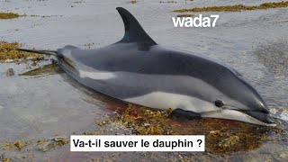 Vatil sauver le dauphin [upl. by Amsden]