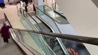 KONE Escalators at Marks amp Spencer in Westfield Shepherds Bush Shopping Centre in London [upl. by Lutim65]