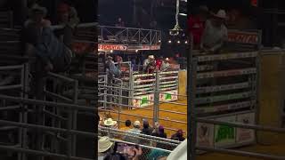 Spider Cowboy 🤠wrecks bullriding [upl. by Urion77]