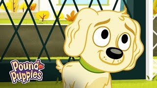 Pound Puppies  Dog Returns [upl. by Vergos775]