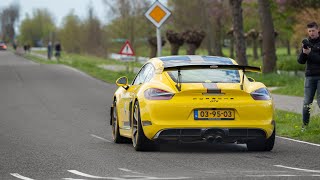 Porsche Cayman GT4 with Fabspeed Exhaust  INSANE Acceleration Sounds FlyBy  BLACK FLAG on Track [upl. by Alveta]