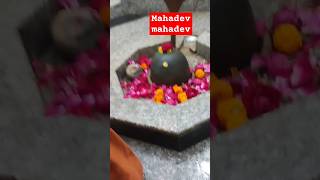 Ro rahi aakhe meri haste Jamuna hai mahadev mahakal bholenath shivshankar kailash shivling [upl. by Vivi561]